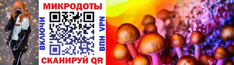 Псилоцибиновые грибы Magic Shrooms  блэк спрут   Вологда  магазин   