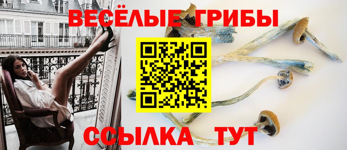 Псилоцибиновые грибы Psilocybine cubensis  Галлюциногенные грибы MAGIC MUSHROOMS  Вход с VPN  дарнет шоп  Вологда 